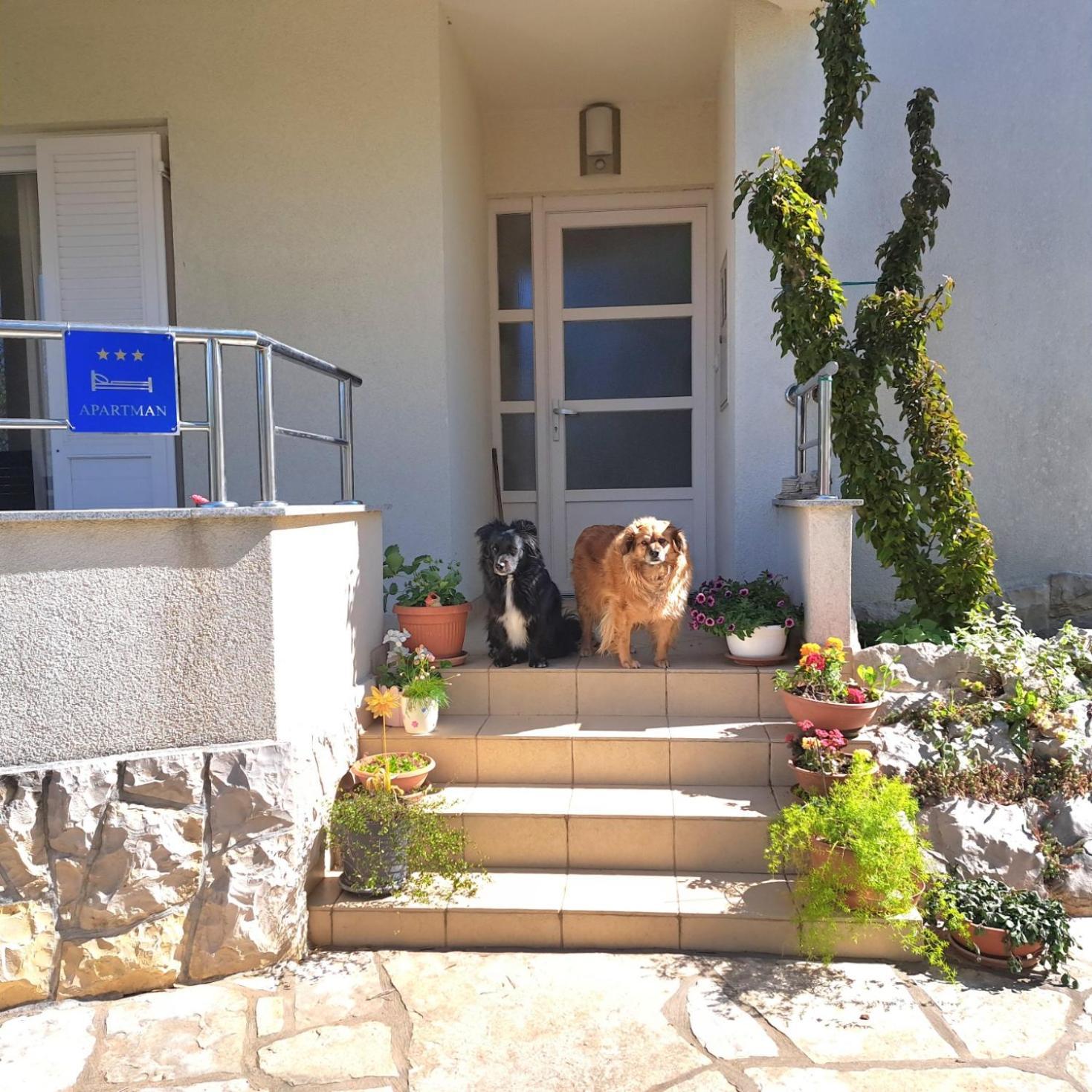 Petra Daire Zadar Dış mekan fotoğraf